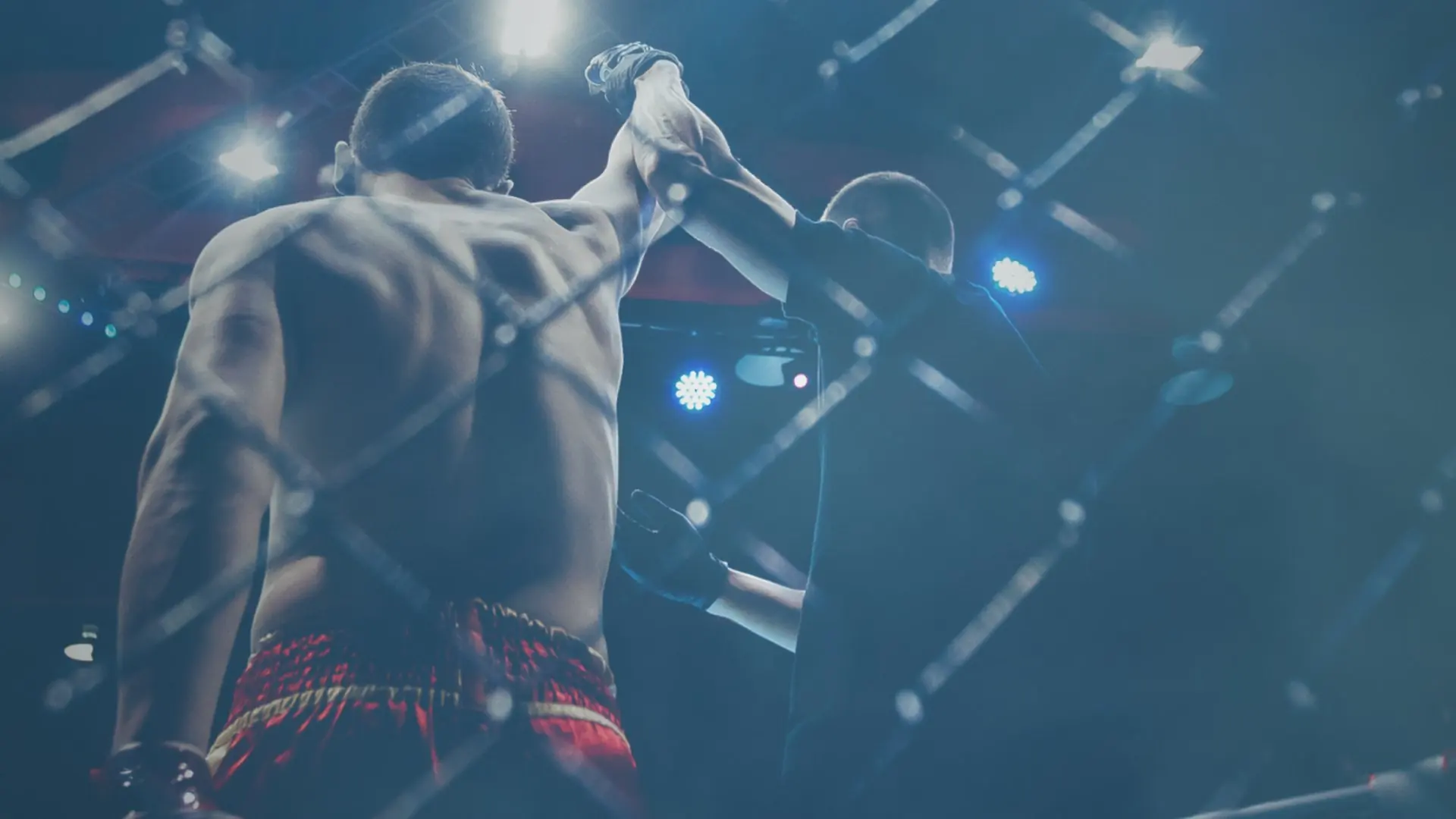 A fighter seen from behind inside the cage under arena lights
