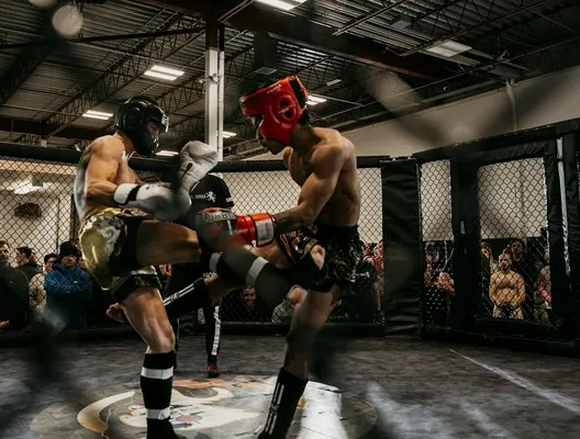 Sparring in the cage at the Crucible